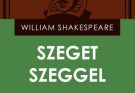 Shakespeare: Szeget szeggel olvasónapló