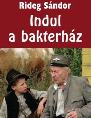 Rideg Sándor: Indul a bakterház olvasónapló