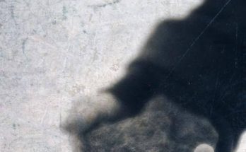 Závada Pál: Egy piaci nap olvasónapló